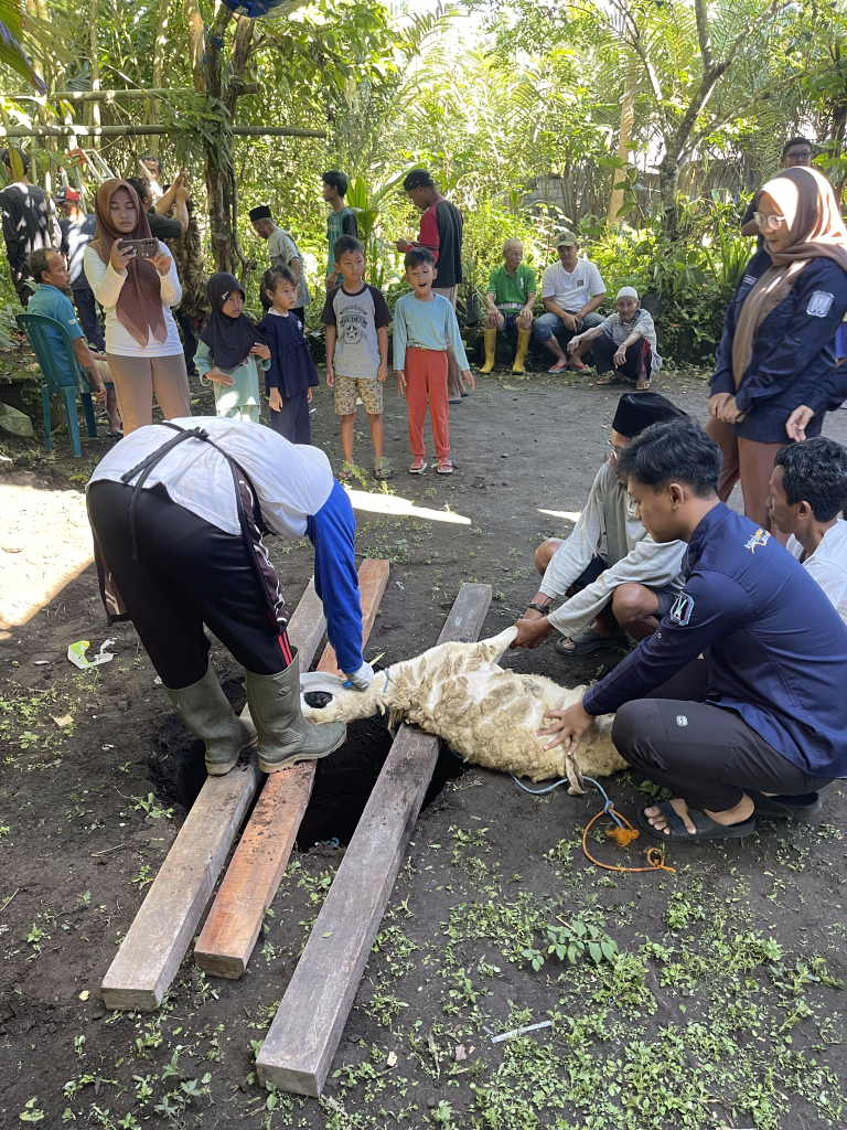 KMMV - IDUL ADHA 6 Juni 2025 1