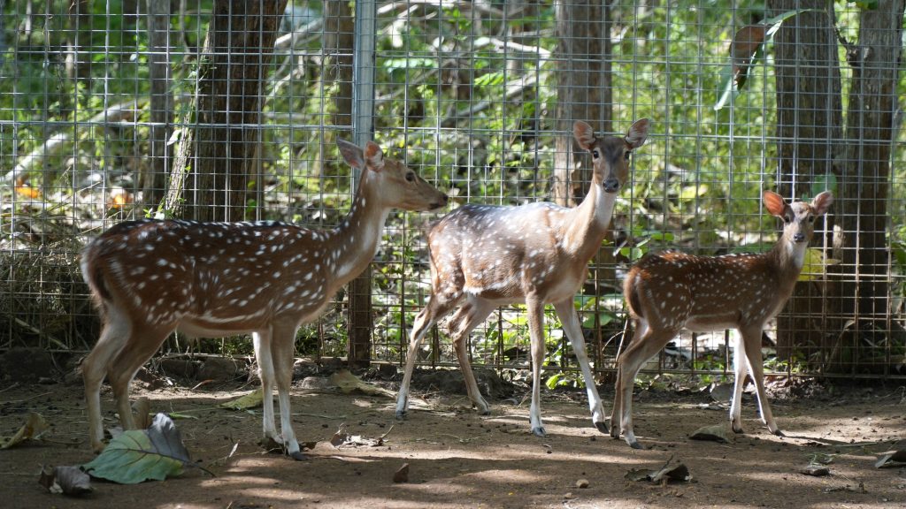 504284600_10229160080807463_8803658479343338399_n