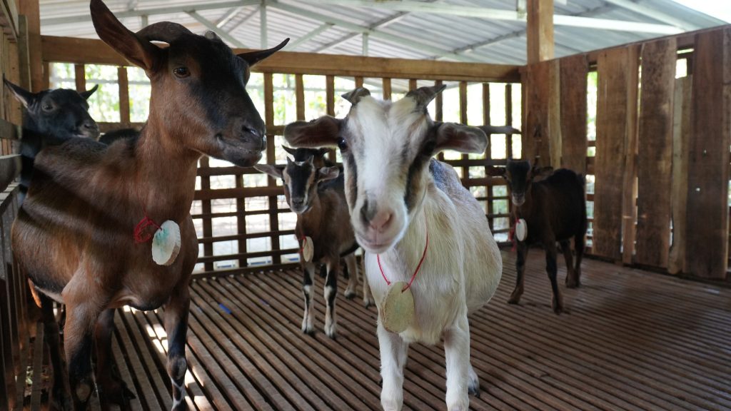 504427725_10229160082647509_1691036956884346796_n