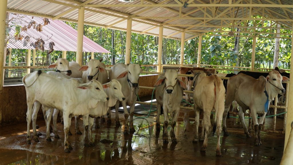 504430695_10229160067847139_5886933277350490899_n