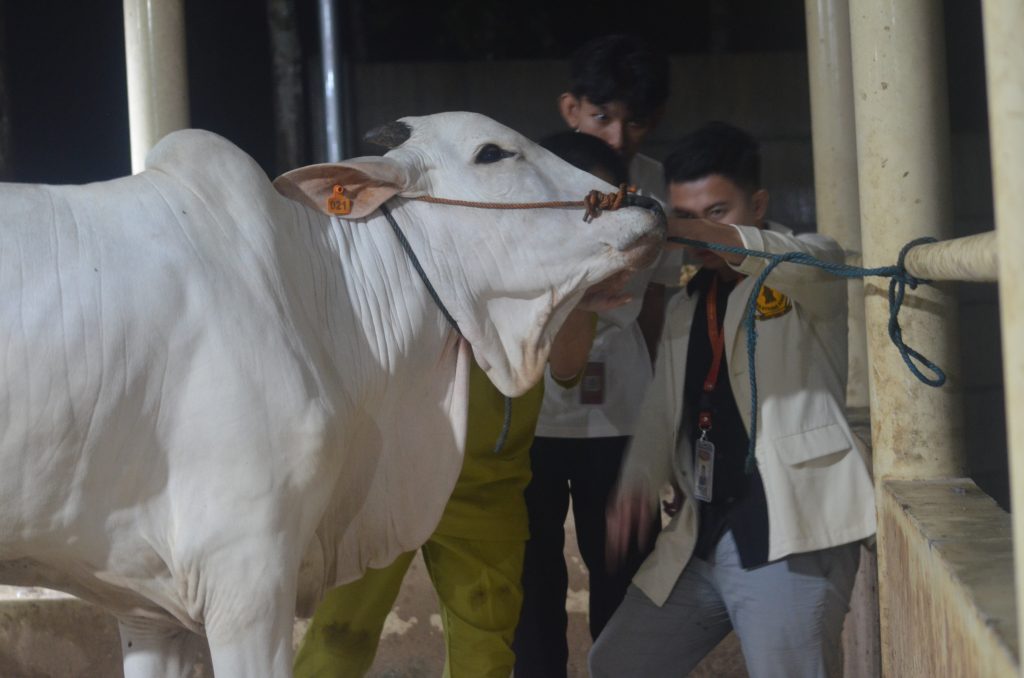 Pelatihan Yanduan di Teaching Farm Playen
