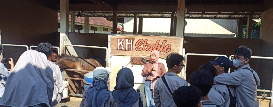 KH Stable