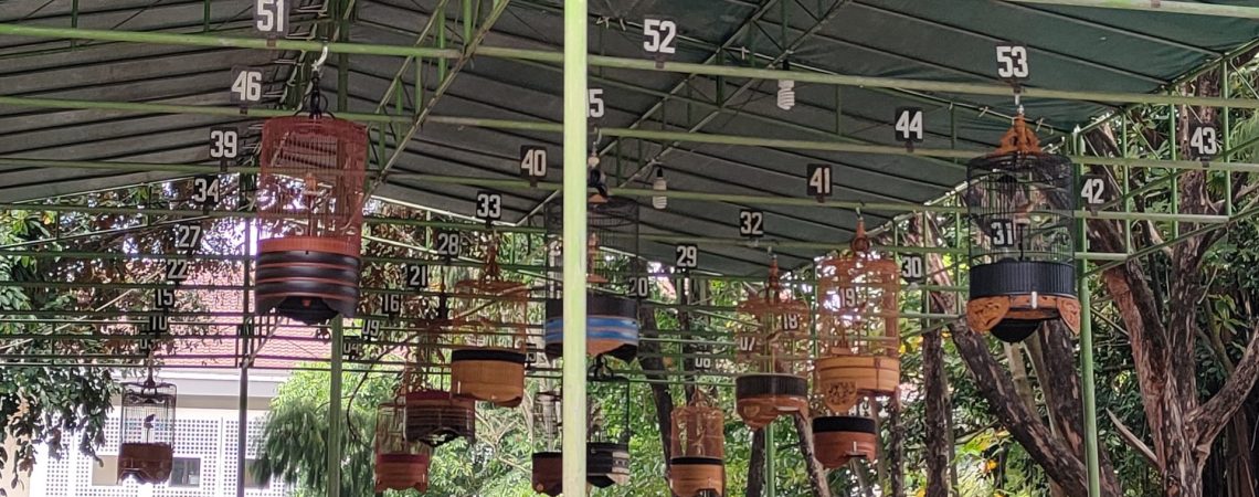 Lomba Burung Berkicau pada peringatan Dies Natalis FKH UGM ke-76 (Sumber: KPMI FKH UGM)