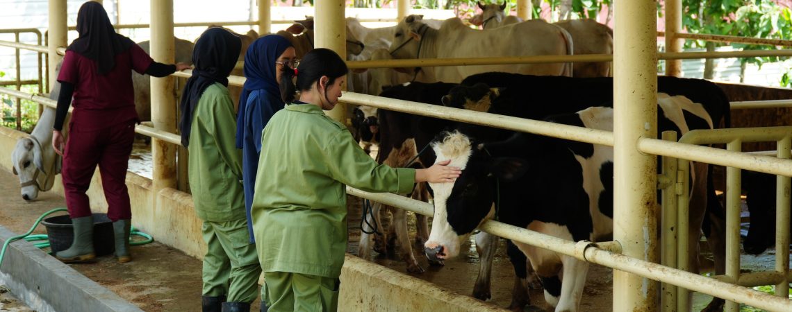 504253217_10229160071647234_7388388769187296688_n