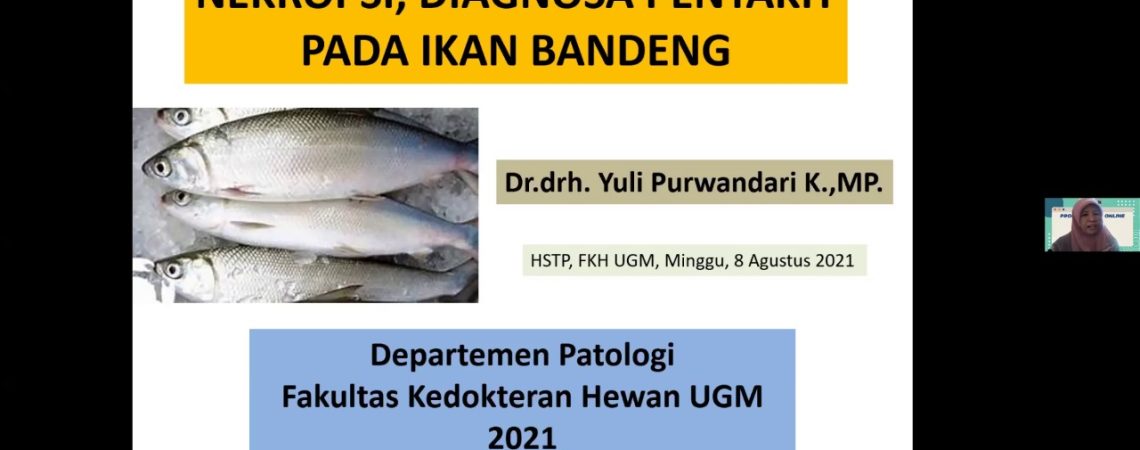 Dr. drh. Yuli Purwandari K., M.P.