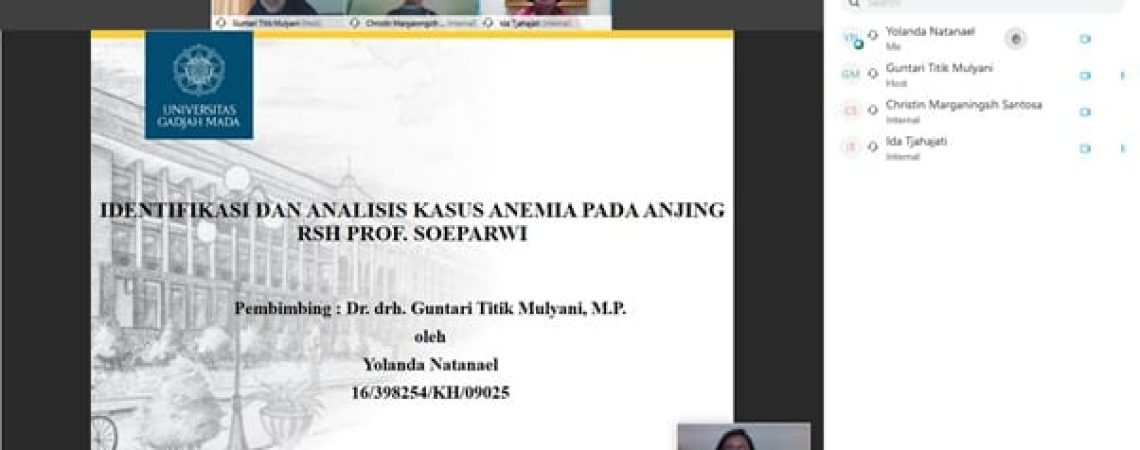 KBM online 9