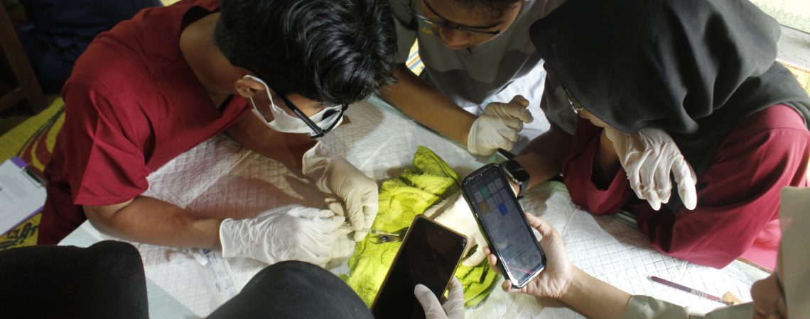 Gambar 5. Praktik nekropsi ikan Parrotfish oleh peserta (Fig 5. Parrotfish Necropsy by the participants)