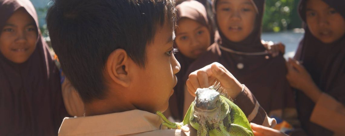 Pengenalan satwa 2