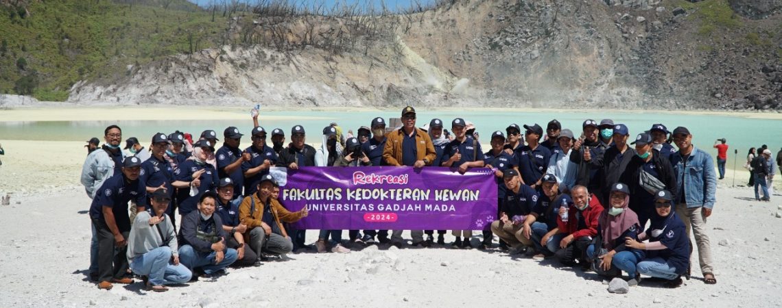 WhatsApp Image 2025-10-30 at 15.29.17