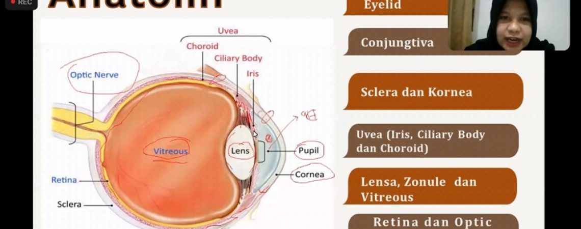 Gambar 1. Dokumentasi Series 1 Webinar Veterinary Opthalmology Vetseminar Series DR.B THE VET SHOW