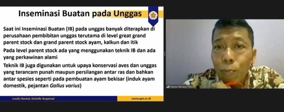 hstp-magangunggas01