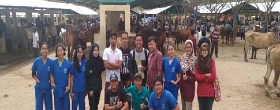 internship-2017-1