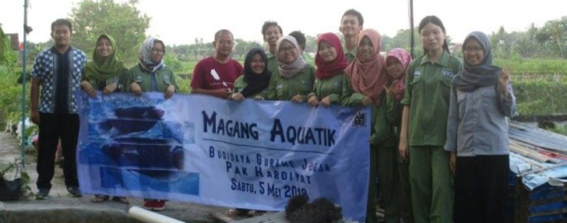 magang-aquatik