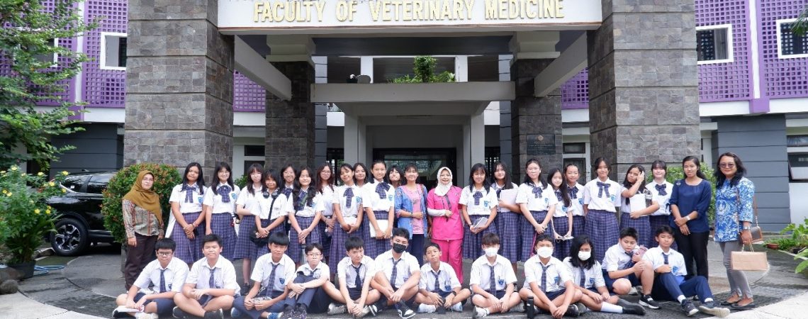 smp-montessori-01