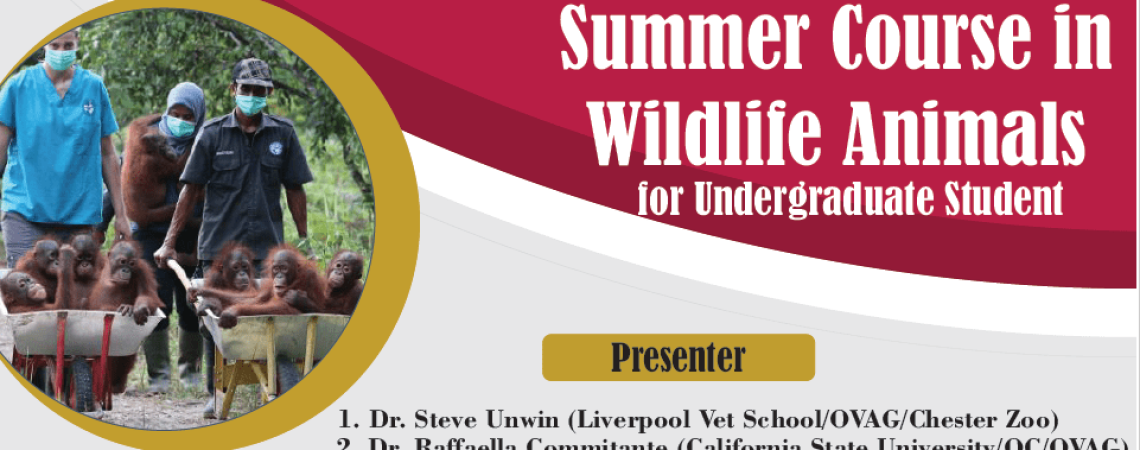 summercourse